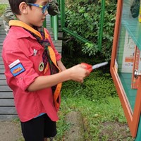 afbeelding